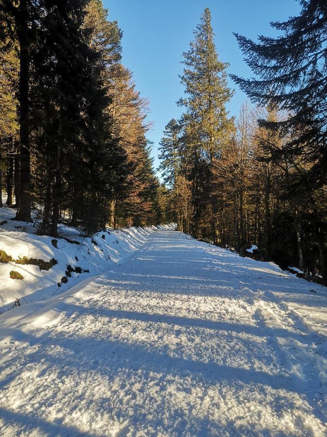 Chalet A L'Oree Du Bois Le Tholy Dış mekan fotoğraf